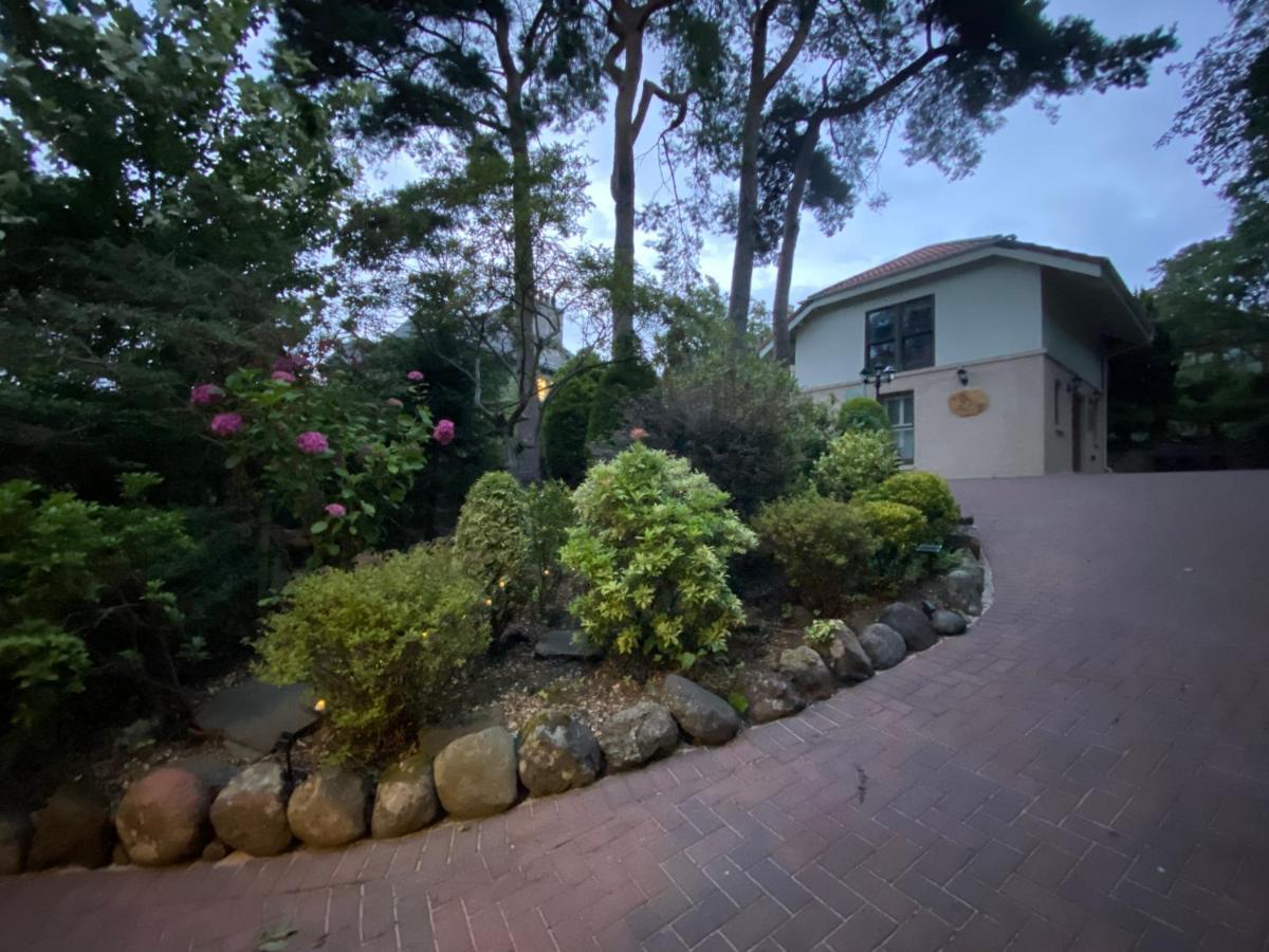 Ailim House Serviced Cottage Escape, Around The Corner From The Old Course St Andrews Bagian luar foto